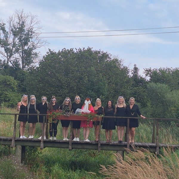 idejas vecmeitu ballītei